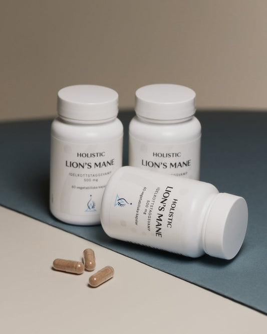Holistic Lion's mane, 60 kapslar