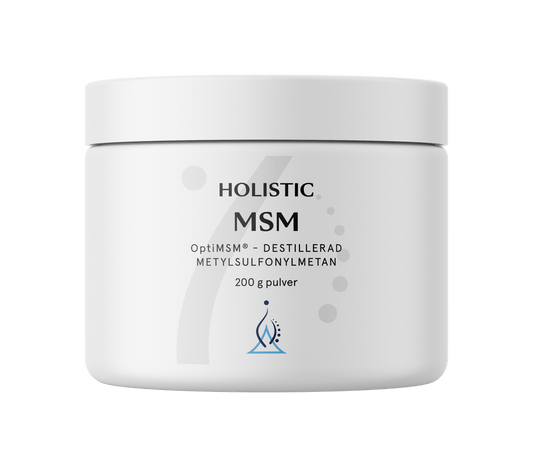 Holistic MSM, 200 g
