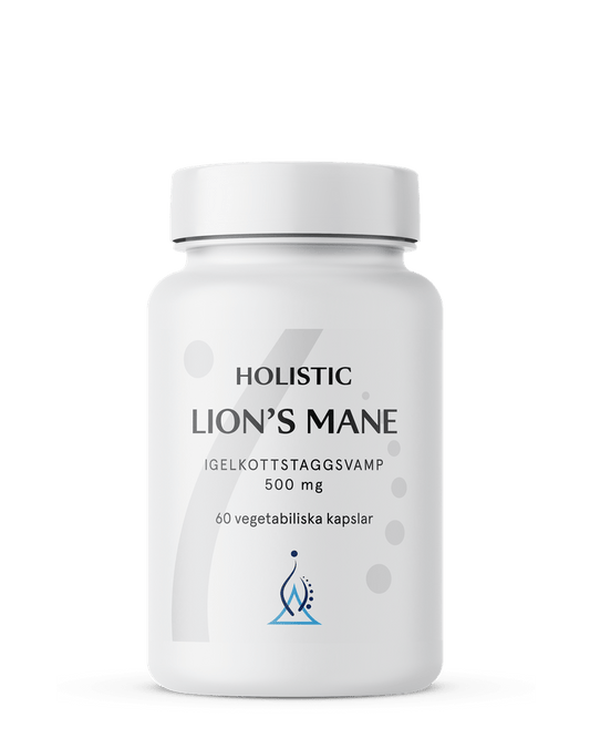 Holistic Lion's mane, 60 kapslar