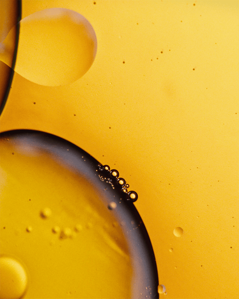 Holistic Brain Oil, 60 kapslar
